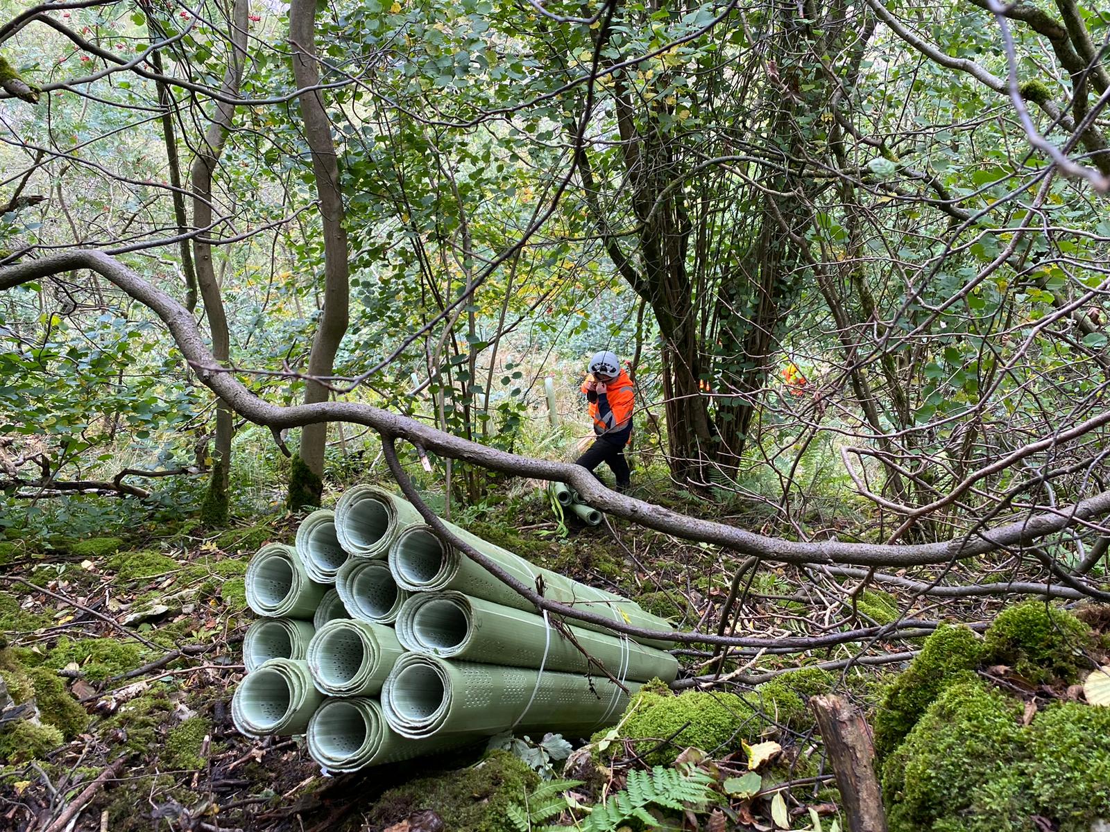 Woodland scene, with a pack of tree tubes on the ground, and a woodland restoration worker walking up the sloped, wooded area.