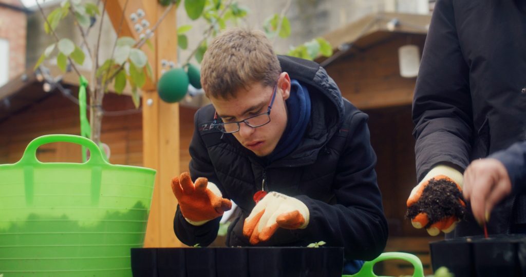 School student planting wych elm seedlings