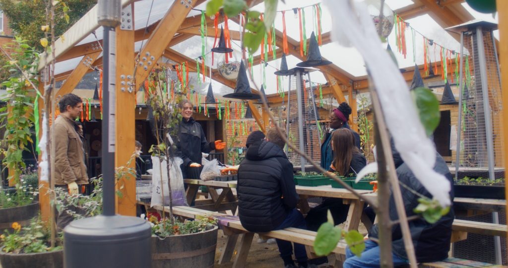 School students at a workshop on how to grow wych elm trees.