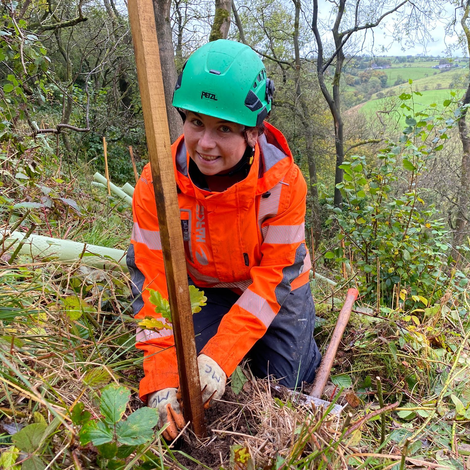 Woodland Restoration Worker planting a tree in a woodland and smiling at the camera.